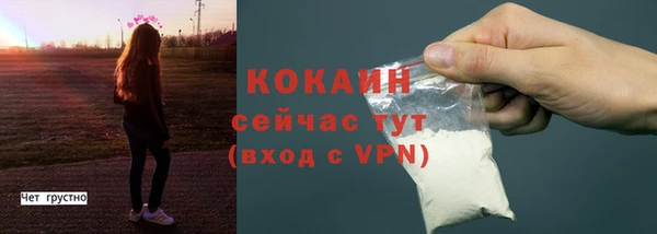 хмурый Сосновка