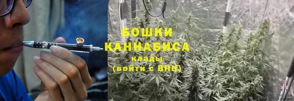 не бодяженный Сосновоборск