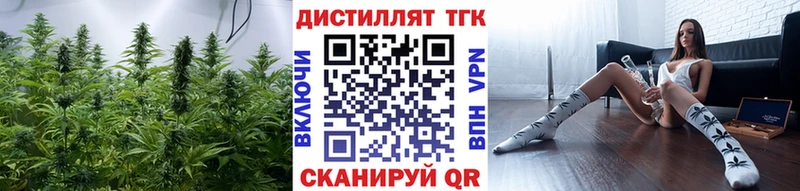 Купить где  Салаир  ТГК Wax 