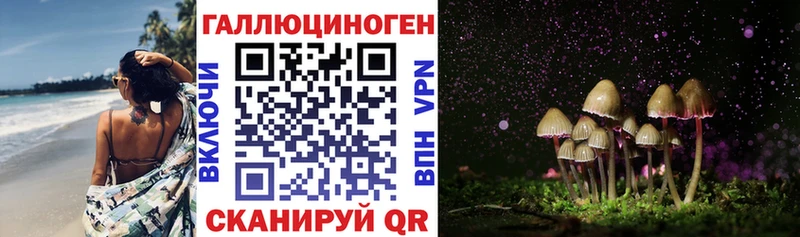 Купить  Салаир  Галлюциногенные грибы ЛСД 